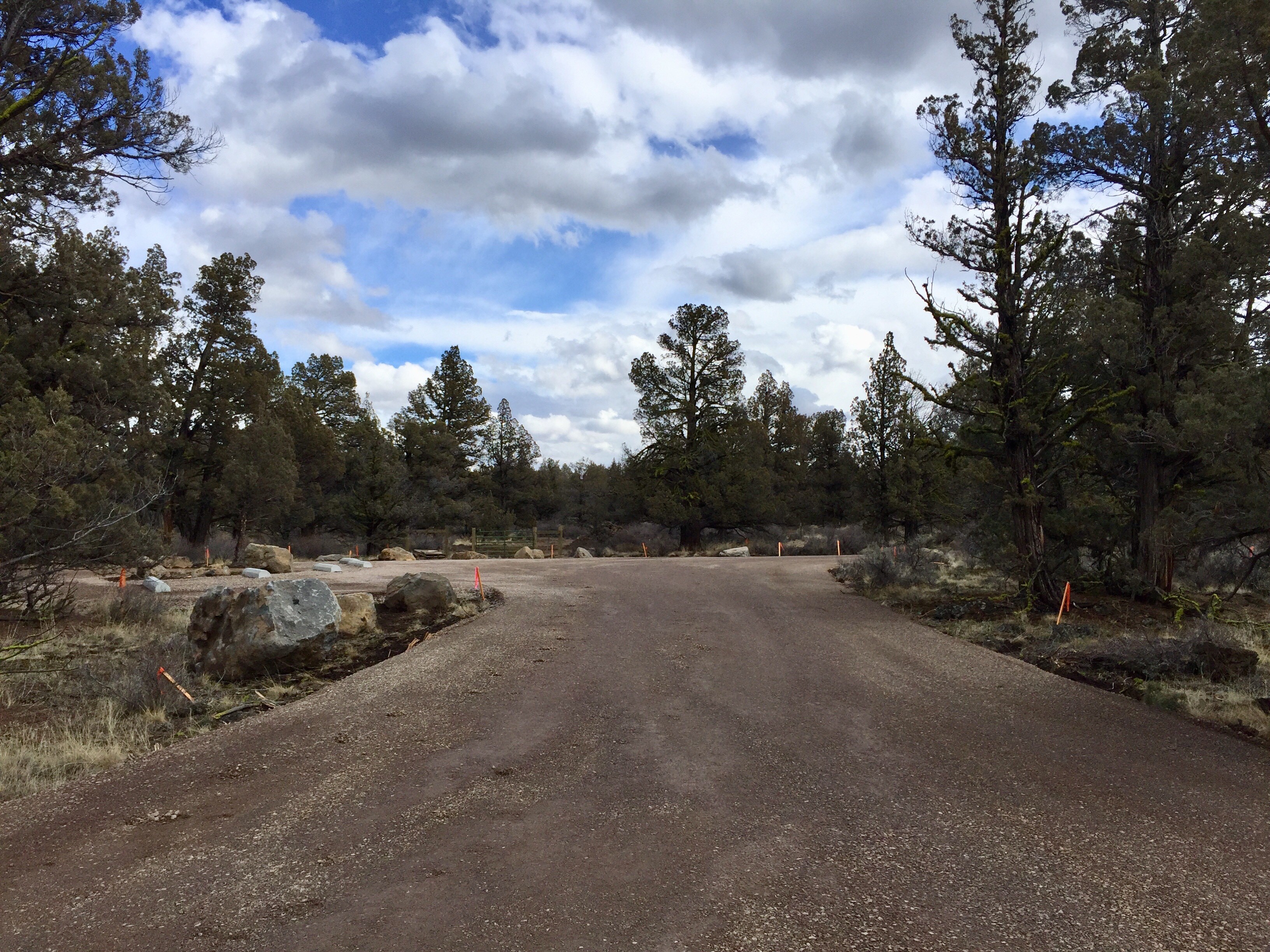 Land Clearing Operation